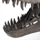 Jurassic 6L x 10W Brown Resin Tyrannosaurus Skull Replica - Default Title