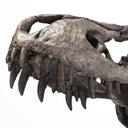Jurassic 6L x 10W Brown Resin Tyrannosaurus Skull Replica - Default Title