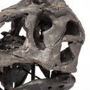 Jurassic 6L x 10W Brown Resin Tyrannosaurus Skull Replica - Default Title