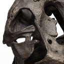 Lagrane 19L x 11W Brown Resin Tyrannosaurus T Rex Dinosaur Skull Replica - Default Title