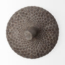 Mandor I Small 6L x 6W Brown Resin Acorn Box - Default Title