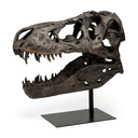 Lagrane 19L x 11W Brown Resin Tyrannosaurus T Rex Dinosaur Skull Replica - Default Title