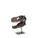 Jurassic 6L x 10W Brown Resin Tyrannosaurus Skull Replica - Default Title