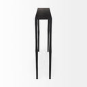 Timothy 480 X 80 X 300 Ebony Black Iron Console Table - Default Title