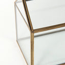 Hutt 16L x 6W x 9H Gold Glass Terrarium Box - Default Title