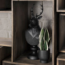Mozart 82L x 60W x 225H Black Painted Resin Deer Bust - Default Title