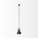 Zaio 125Lx 125W x 185H Weathered Antique Gold Metal Caged Bulb Pendant Light - Default Title