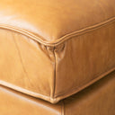 DArcy 111L x 70D x 33H Tan Leather Left Chaise Sectional - Default Title