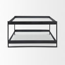 Trey 56L x 32W x 17H Black Metal WGlass Coffee Table - Default Title
