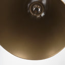 Fenton 180L x 180W x 230H Gold WGold Accents Pendant Light - Default Title