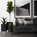 Claypoole Set of 3 Black Plant Stands - Default Title
