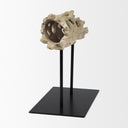 Dwell Cholla Wood Resin Decorative Object - Default Title