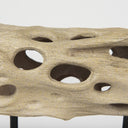 Dwell Cholla Wood Resin Decorative Object - Default Title