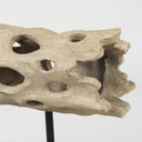 Dwell Cholla Wood Resin Decorative Object - Default Title