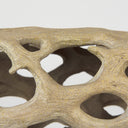 Dwell Cholla Wood Resin Decorative Object - Default Title