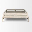 Arelius 42 Square Glass-Top White Wood w Gold Metal Base Display Coffee Table - Default Title