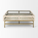 Arelius 42 Square Glass-Top White Wood w Gold Metal Base Display Coffee Table - Default Title