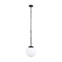 Edie Matte Black Metal w Frosted Glass Globe 1-Light Pendant - Default Title