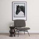 Nora Charcoal Fabric w Matte Black Metal Legs Accent Chair - Default Title