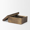 Porschia Large Antiqued Gold Metal Decorative Box - Default Title