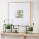 Sikes Medium 8L x 8W x 13H Hut Terrarium WGlass Base - Default Title