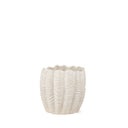 Velia Short Seashell Sculptural Cream Glazed Ceramic Vase - Default Title