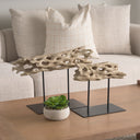 Dwell Cholla Wood Resin Decorative Object - Default Title
