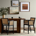 Liora Cane Bar Counter Stool - Counter Brushed Ebony Savile Flax