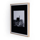 Blank Horse by Annie Spratt - 48X48