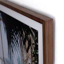 Veridian Haven Greenhouse II by Annie Spratt - 40X40