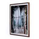 Veridian Haven Greenhouse II by Annie Spratt - 40X40