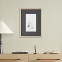 Aurelia Lineage by Christina Kwan - 18X24 Natural Maple