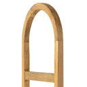 Contemporary Arched Ladder