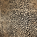 Trendy Leopard Printed Hide Rug