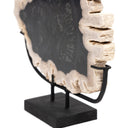 Unique Petrified Wood Sculpture