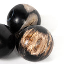 Set of 3 Petrified Wood Balls