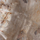 Artistic Petrified Wood Organic Sculpture Set Of 3 - Light Petrified Wood