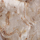 Artistic Petrified Wood Organic Sculpture Set Of 3 - Light Petrified Wood