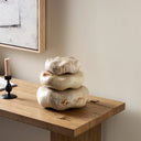 Artistic Petrified Wood Organic Sculpture Set Of 3 - Light Petrified Wood