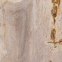 Haven Galen End Table - Light Petrified Wood