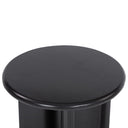 Aveline Paden End Table - Aged Black Acacia