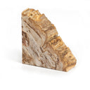 Modern Petrified Wood Book Ends