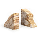 Modern Petrified Wood Book Ends