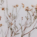 In The Details I by Annie Spratt - 48X36