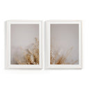 Aether Collection Dried Floral Diptych by Annie Spratt - Default Title