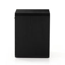Aveline Nightstand - Black Ash Veneer