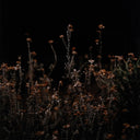 Inspiring Escape I by Annie Spratt - 30X40