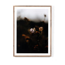 Escape II by Annie Spratt - 30X40