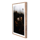 Escape II by Annie Spratt - 30X40