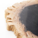 Unique Petrified Wood Slab